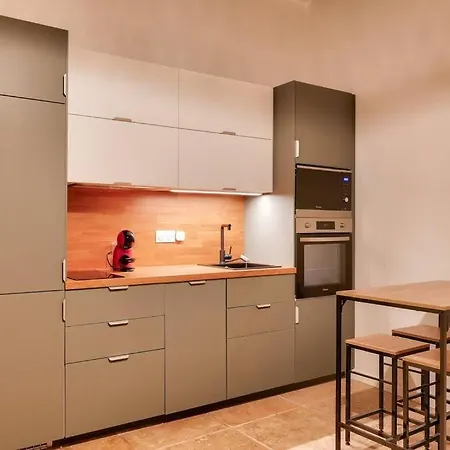 2br Flat Near Louis Pradel Metro Station Apartment Lyon